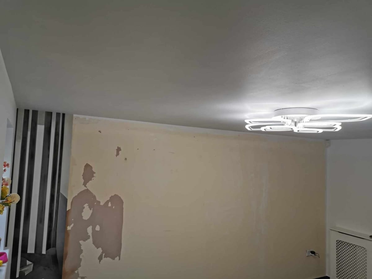 Feature wall wallpapering Mansfield – Prime Renovations